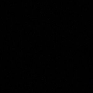 Meet your Posher, Tonya